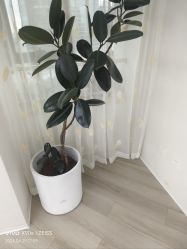-HEYAN荷妍专业脱毛连锁机构