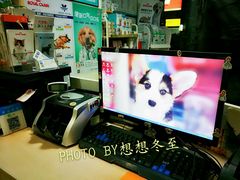 -菲尔斯特宠物医院