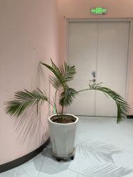 -郑州缔莱美医疗美容医院