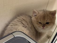 -瑞鹏宠物医院·爱宠堂·骨外专科(西荷分院)