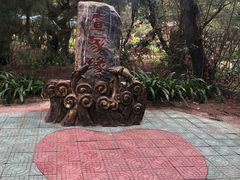 -北海金海湾红树林生态旅游区