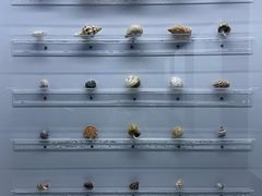 -山东博物馆