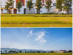 -东梓关景区村庄