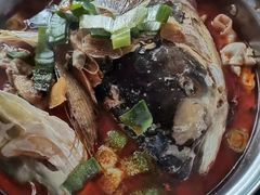 -优护优家Ucare月嫂育儿嫂陪伴师(静安店)