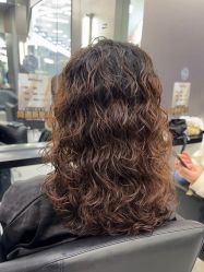 -东方麒麟·潘多拉SALON