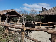-上海野生动物园