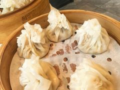 -凯鸽酒楼(操场城店)