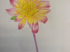 -黑骏画室·深圳美术中高考黄埔军校