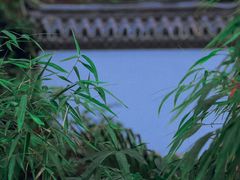 -忆江南·生态餐饮宴会酒店