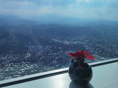 -随意鸟地方101观景餐厅