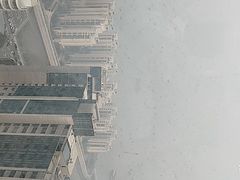 -柴犬小屋·柴餐厅·狗咖食堂(金鼎广场店)