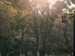 -老山国家森林公园