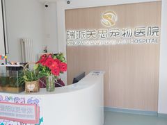 -瑞派·关忠动物医院·猫专科·犬专科(三环新城店)