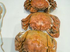 -汇丰海鲜(东亚·世纪城文脉苑店)