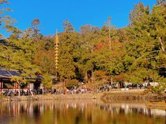 -奈良公园