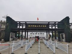 -杭州湾海上花田景区