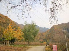 -秦岭风景区