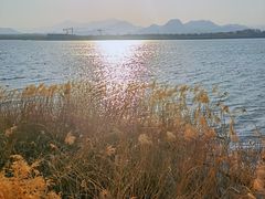 -青龙湖公园