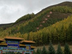 -塞罕坝国家级自然保护区