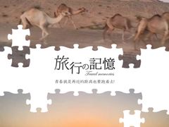-迪拜沙漠冲沙