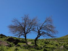 -克什克腾世界地质公园青山景区