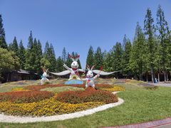 -东平国家森林公园