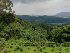 -广州市帽峰山景区
