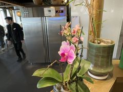 -紫腾大院·南京菜(江宁店)