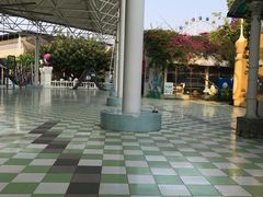 -百万葵园