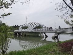 -同里国家湿地公园