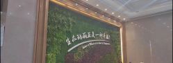 -玛丽亚妇产医院
