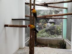 -成都动物园