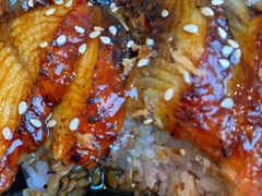 鳗鱼饭-胜博殿日式炸猪排(西红门店)