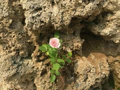 -龙口南山旅游景区