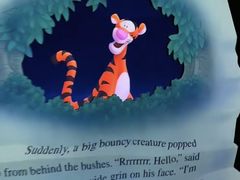 -小镇影院迪士尼小熊Duffy与他的朋友合影地