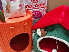 -纳吉亚猫专科动物医院·北北分院