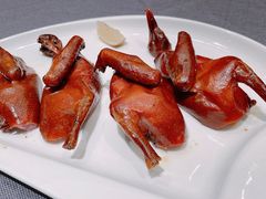 红烧乳鸽-顺峰(农展馆店)