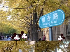 -辽宁大学(崇山校区)