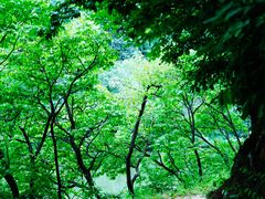 -玉渡山自然风景区