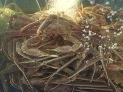 -蟹之国·精品蟹料理(极地店)