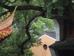 -普陀山风景区-佛顶山