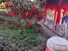 -开福禅寺