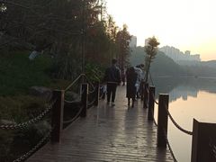 -重庆彩云湖湿地公园