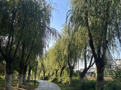 -云龙湖旅游景区