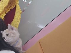 -全心全意连锁动物医院·微创中心·内科急重症·心脏专科(丰管路店)