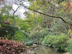 -杭州半山国家森林公园