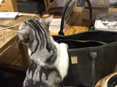 -小时光咖啡馆(开森度假森林店)
