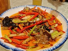 -圣厨牛腩(青春岛社区玉寿苑店)