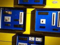 -上海昆虫博物馆