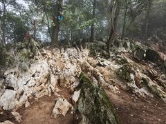 -秦岭天竺山生态文化旅游景区